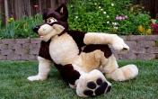 Balto-05-BG.jpg