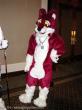 People/Fursuits/Conventions/FC 04/Akita_FC2004_024.jpg