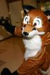People/Fursuits/Conventions/FC 04/Yappy_FC2004_072.jpg