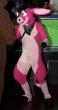 People/Fursuits/Conventions/Frolic 10/10-October/5073998893_30335acc04_o.jpg