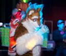 People/Fursuits/Conventions/Frolic 10/10-October/5074003909_d1458e775e_o.jpg