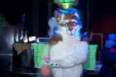 People/Fursuits/Conventions/Frolic 10/10-October/5074004161_bf60ca542c_o.jpg