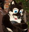 People/Fursuits/Conventions/Frolic 10/10-October/5074009765_2c18e40eec_o.jpg