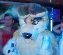 People/Fursuits/Conventions/Frolic 10/10-October/5074010047_e5782bb346_o.jpg