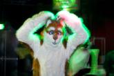 People/Fursuits/Conventions/Frolic 10/10-October/5074601842_b17889b260_o.jpg