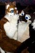 People/Fursuits/Conventions/Frolic 10/10-October/5074605076_562960ce00_o.jpg