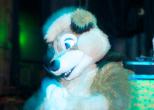 People/Fursuits/Conventions/Frolic 10/10-October/5074608208_b1ebe626b6_o.jpg