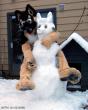 FursnowmanNitro2.jpg