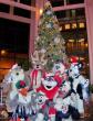 People/Fursuits/Group/2008-Christmas/100_2319.jpg