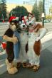 People/Fursuits/Group/2008-Christmas/3097711318_c902910f41_b.jpg
