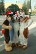People/Fursuits/Group/2008-Christmas/3097711318_e8d03d7e30_o.jpg