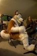 People/Fursuits/Group/2008-Misc/IMGP5118.jpg