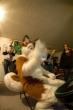 People/Fursuits/Group/2008-Misc/IMGP5121.jpg