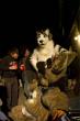 People/Fursuits/Group/2008-Misc/IMGP5211.jpg