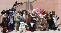 People/Fursuits/Group/groupshot.jpg