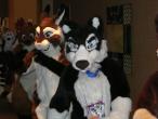 People/Fursuits/MFF08/AndrewNeo/3056819127_f4a4f779fb_b.jpg