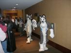 People/Fursuits/MFF08/AndrewNeo/3056826089_4bf07b8824_b.jpg