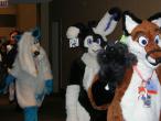 People/Fursuits/MFF08/AndrewNeo/3057658978_bf982fdf27_b.jpg