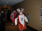 People/Fursuits/MFF08/AndrewNeo/3057662008_58ce40a18c_b.jpg