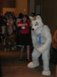 People/Fursuits/MFF08/AndrewNeo/3057679734_8faf711b7c_b.jpg