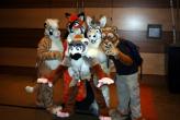 People/Fursuits/MFF08/Christopher/IMG_0024.JPG