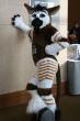 People/Fursuits/MFF08/Enziru/3053574151_2b48730674_b.jpg