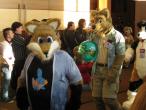 People/Fursuits/MFF08/Geemo88/3052289173_c961b1c4c5_b.jpg