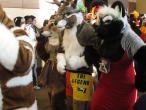 People/Fursuits/MFF08/Geemo88/3052290961_6a43ff6e16_b.jpg