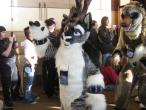 People/Fursuits/MFF08/Geemo88/3052292115_d8fde53ce5_b.jpg