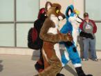People/Fursuits/MFF08/Geemo88/3052309257_43536b3492_b.jpg