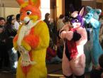 People/Fursuits/MFF08/Geemo88/3053121136_3702d6ff33_b.jpg