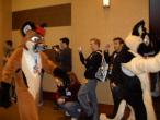 People/Fursuits/MFF08/OmegaFolf/GEDC0085.jpg