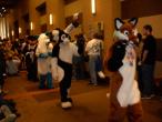 People/Fursuits/MFF08/OmegaFolf/GEDC0099.jpg