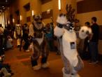 People/Fursuits/MFF08/OmegaFolf/GEDC0101.jpg
