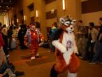 People/Fursuits/MFF08/OmegaFolf/GEDC0105.jpg