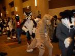 People/Fursuits/MFF08/OmegaFolf/GEDC0127.jpg