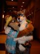 People/Fursuits/MFF08/OmegaFolf/GEDC0189.jpg