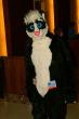 People/Fursuits/MFF08/Orzel/mff2008_orzel_013.jpg