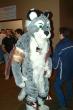 mff2008_orzel_058.jpg