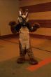 People/Fursuits/MFF08/Orzel/mff2008_orzel_078.jpg