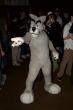 People/Fursuits/MFF08/Orzel/mff2008_orzel_107.jpg