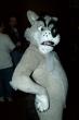 People/Fursuits/MFF08/Orzel/mff2008_orzel_111.jpg