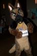 People/Fursuits/MFF08/Orzel/mff2008_orzel_132.jpg