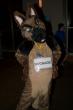 People/Fursuits/MFF08/Orzel/mff2008_orzel_133.jpg