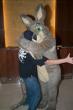 mff2008_orzel_137.jpg