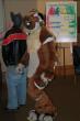 People/Fursuits/MFF08/Orzel/mff2008_orzel_193.jpg