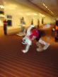 People/Fursuits/PepperPup-01.jpg