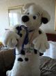 People/Fursuits/Pup-02.jpg
