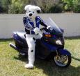 People/Fursuits/PupBike.jpg