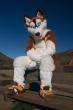 People/Fursuits/Russ14.jpg
